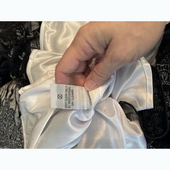 R&M Richard’s Women Floral Dress 18W Sheer Metallic Silver Whimsigoth Romantic - Picture 14 of 15